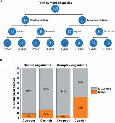 Redox-Sensitive VDAC: A Possible Function as an Environmental Stress Sensor Revealed by Bioinformatic Analysis